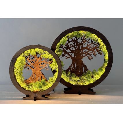 Li-Go 23604/DUB2 - Décoration de table LED dimmable LED/12W/230V 20x22 cm chêne/mousse et arbre