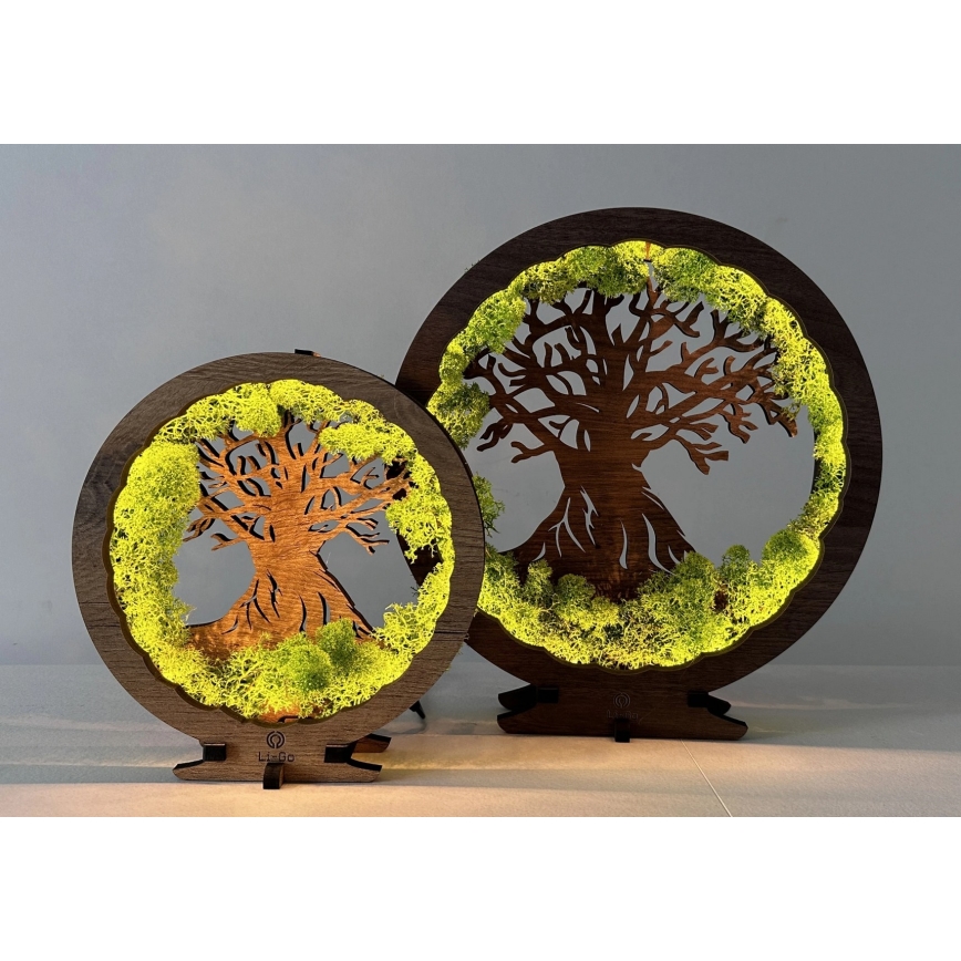 Li-Go 23604/DUB2 - Décoration de table LED dimmable LED/12W/230V 20x22 cm chêne/mousse et arbre