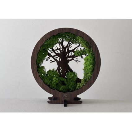 Li-Go 23604/DUB2 - Décoration de table LED dimmable LED/12W/230V 20x22 cm chêne/mousse et arbre