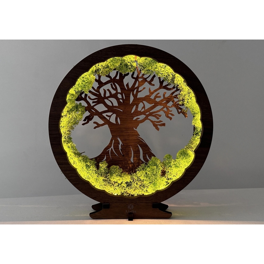 Li-Go 23631/DUB2 - Décoration de table LED dimmable LED/12W/230V 30x31 cm chêne/mousse et arbre