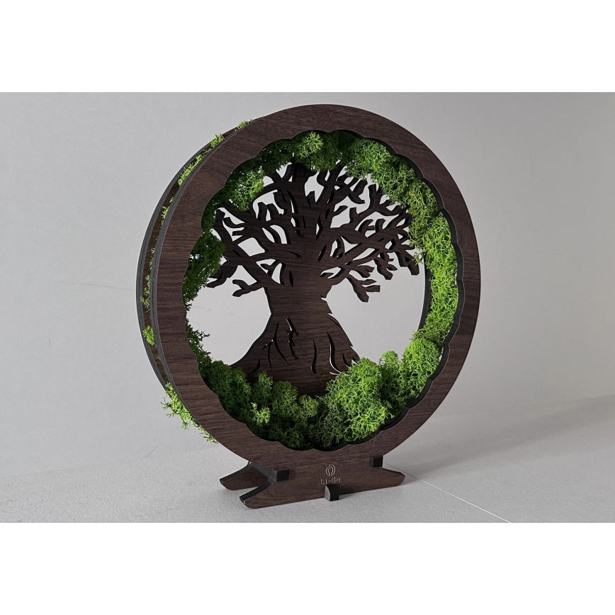 Li-Go 23631/DUB2 - Décoration de table LED dimmable LED/12W/230V 30x31 cm chêne/mousse et arbre