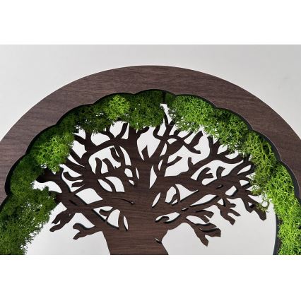 Li-Go 23631/DUB2 - Décoration de table LED dimmable LED/12W/230V 30x31 cm chêne/mousse et arbre