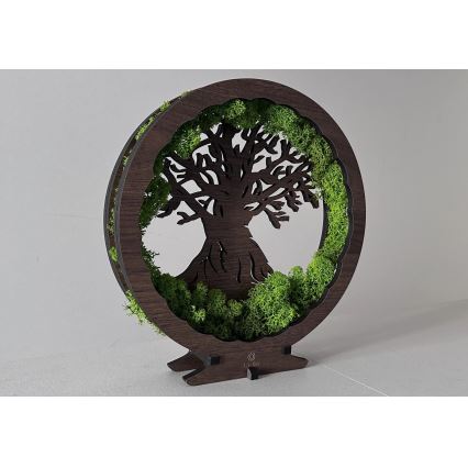 Li-Go 23631/DUB2 - Décoration de table LED dimmable LED/12W/230V 30x31 cm chêne/mousse et arbre