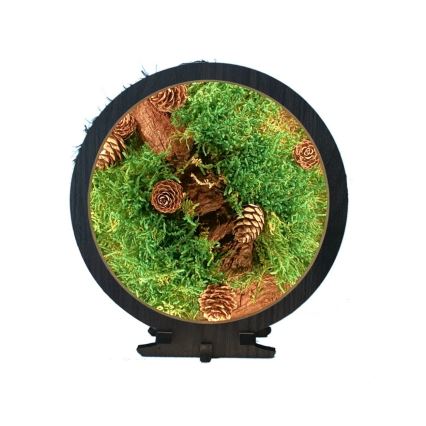 Li-Go 23654 - Dimbare LED-tafeldecoratie LED/12W/230V 20x22 cm walnoot/mosmotief