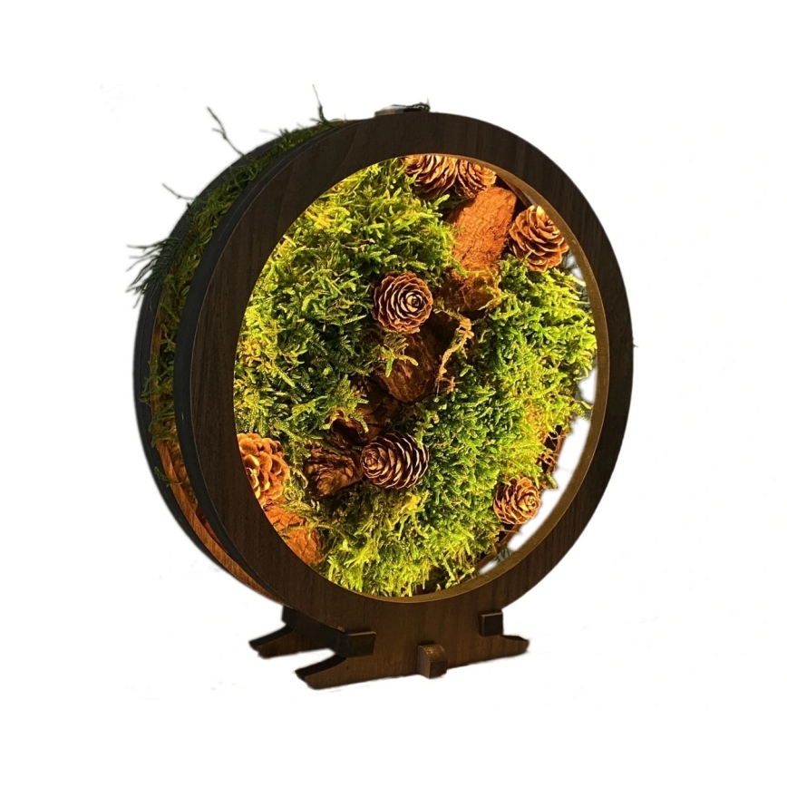 Li-Go 23654 - Dimbare LED-tafeldecoratie LED/12W/230V 20x22 cm walnoot/mosmotief