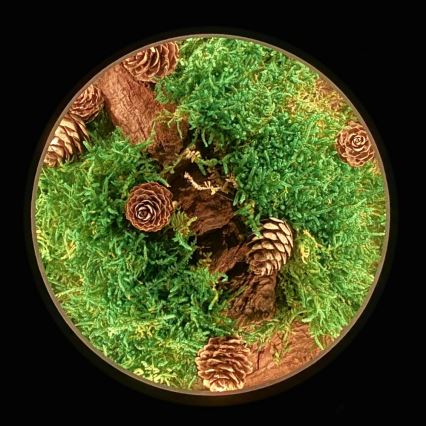 Li-Go 23654 - Dimbare LED-tafeldecoratie LED/12W/230V 20x22 cm walnoot/mosmotief