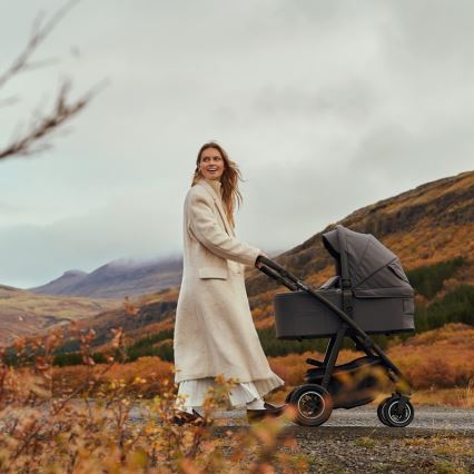 Lionelo - 2-in-1 combi-kinderwagen AMBER PLUS Grijs Grafiet