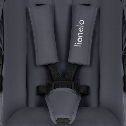 Lionelo - 2-in-1 combi-kinderwagen AMBER PLUS Grijs Grafiet