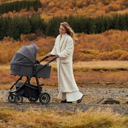 Lionelo - 3-in-1 combi-kinderwagen AMBER PLUS grijs Graphite