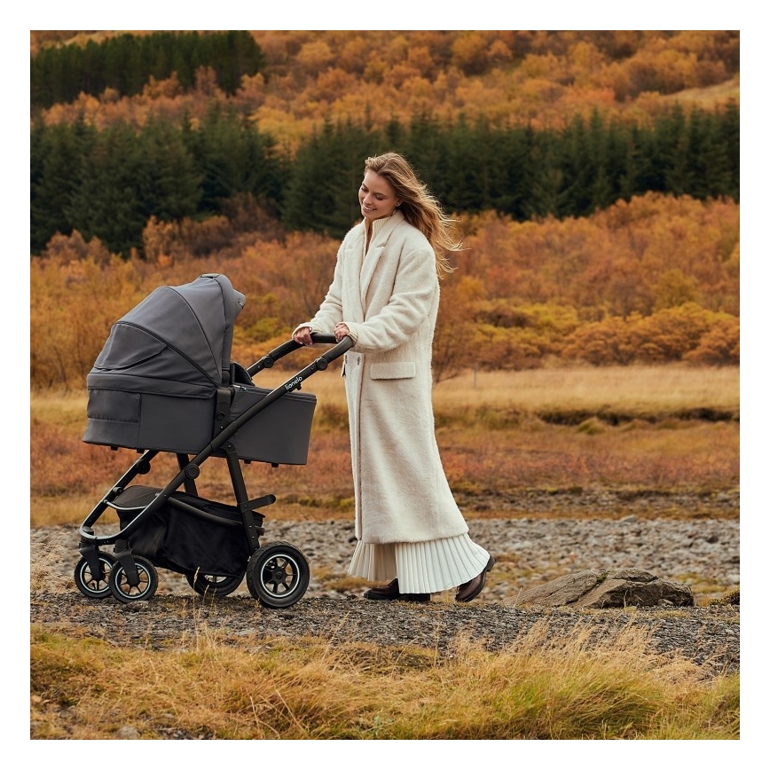 Lionelo - 3-in-1 combi-kinderwagen AMBER PLUS grijs Graphite