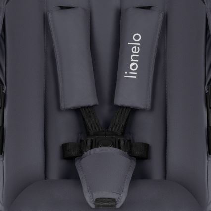 Lionelo - 3-in-1 combi-kinderwagen AMBER PLUS grijs Graphite