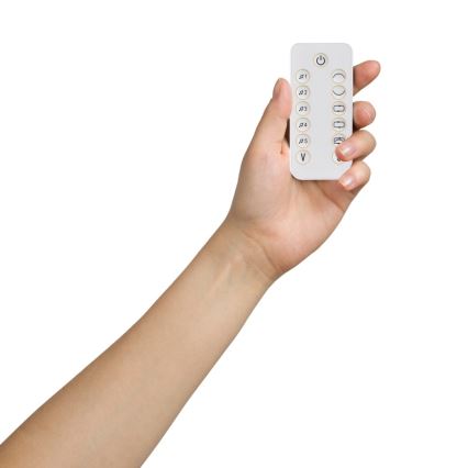 Lionelo - Balancelle pour bébé OLIVIA Beige naturel avec mélodie + télécommande