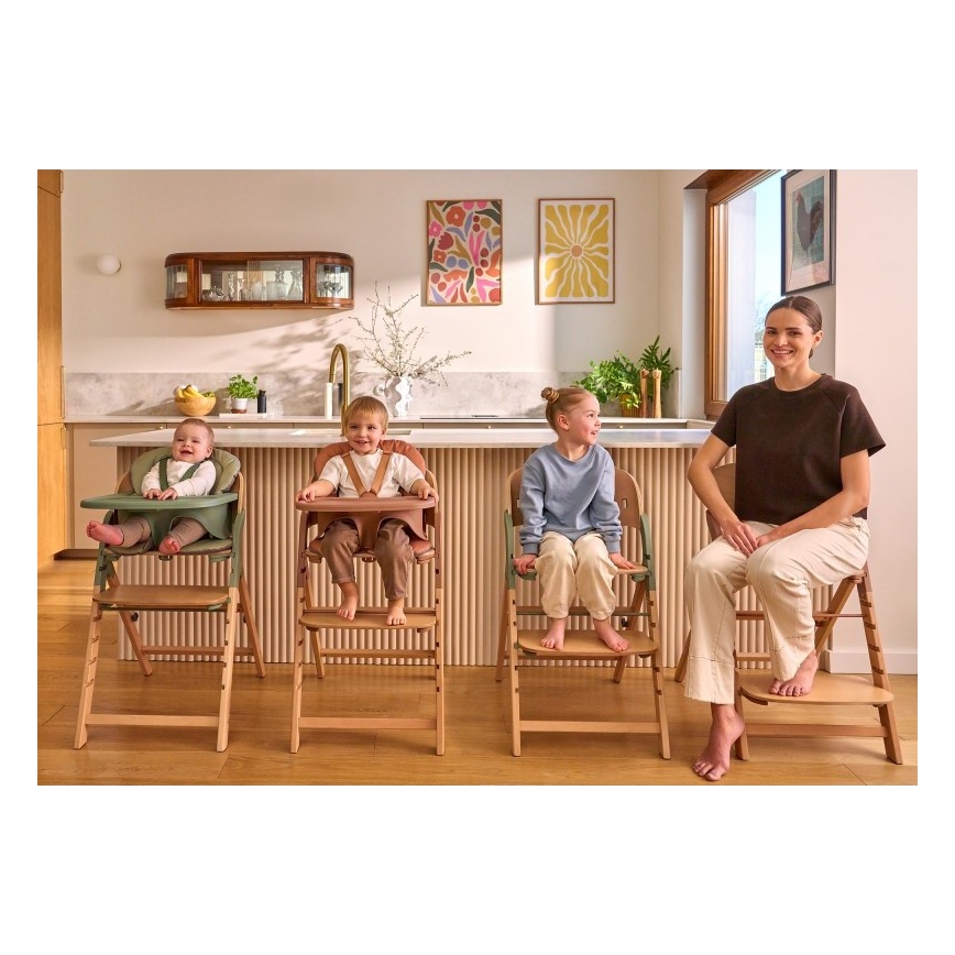 Lionelo - Chaise de repas 3 en 1 pour enfant MEGAN Bois gris