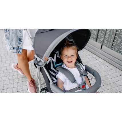 Lionelo - Poussette canne ELIA grise