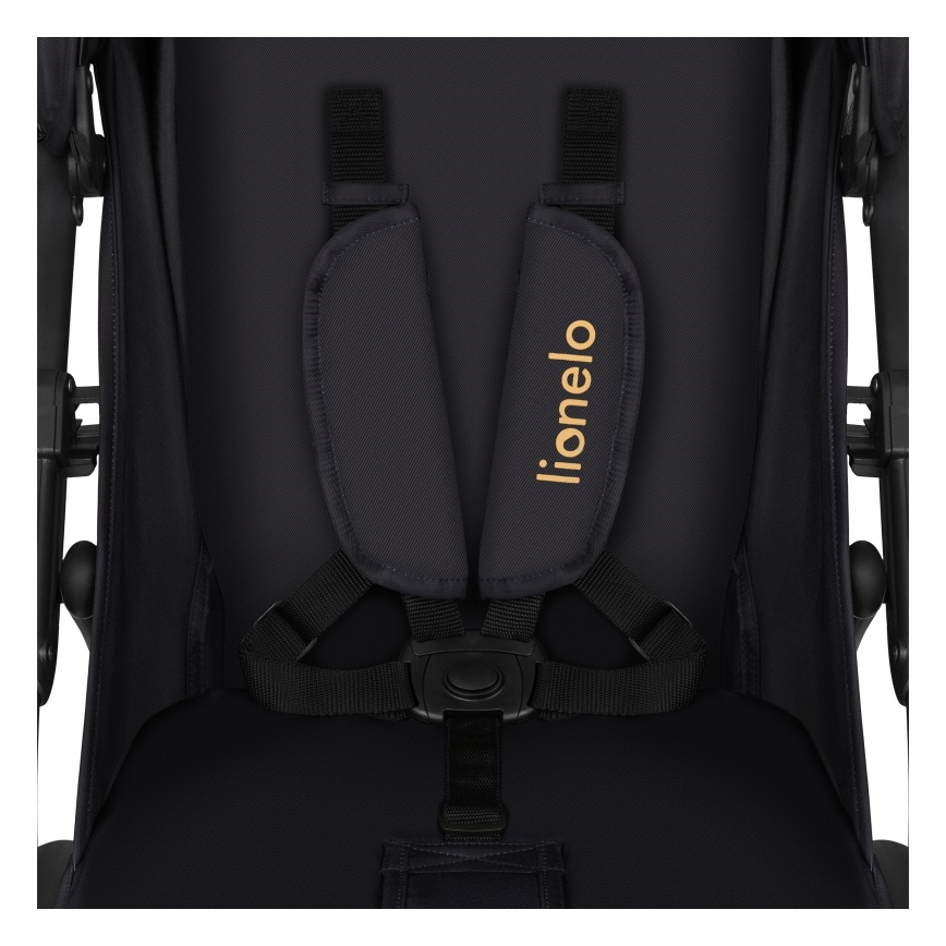 Lionelo - Sportieve buggy ANNET TOUR Golden Moments