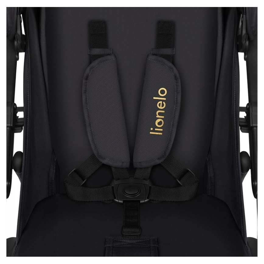 Lionelo - Sportieve kinderwagen ANNET PLUS Golden Moments