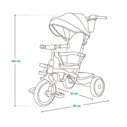 Lionelo - Tricycle pour enfant BERRY Grey Stone