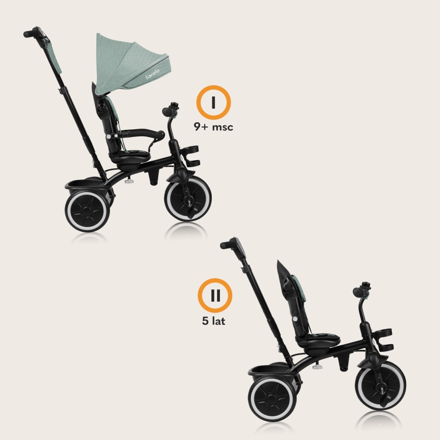 Lionelo - Tricycle pour enfants BERRY Green Forest