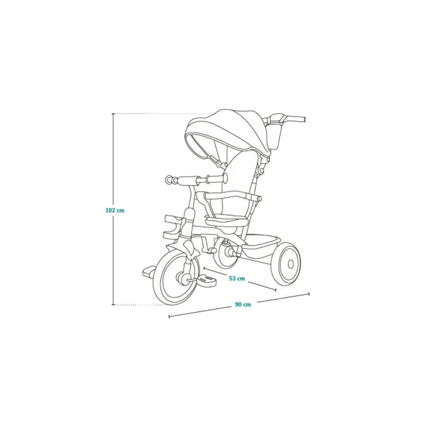 Lionelo - Tricycle pour enfants BERRY gris pierre