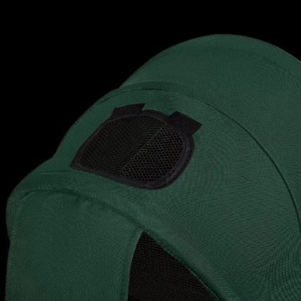 Lionelo - Tricycle pour enfants HAARI vert/noir