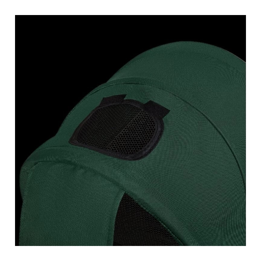 Lionelo - Tricycle pour enfants HAARI vert/noir