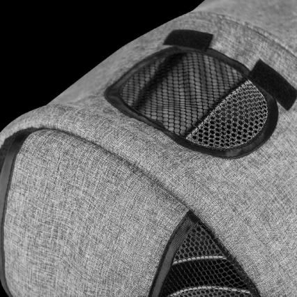 Lionelo - Tricycle pour enfants TRIS gris