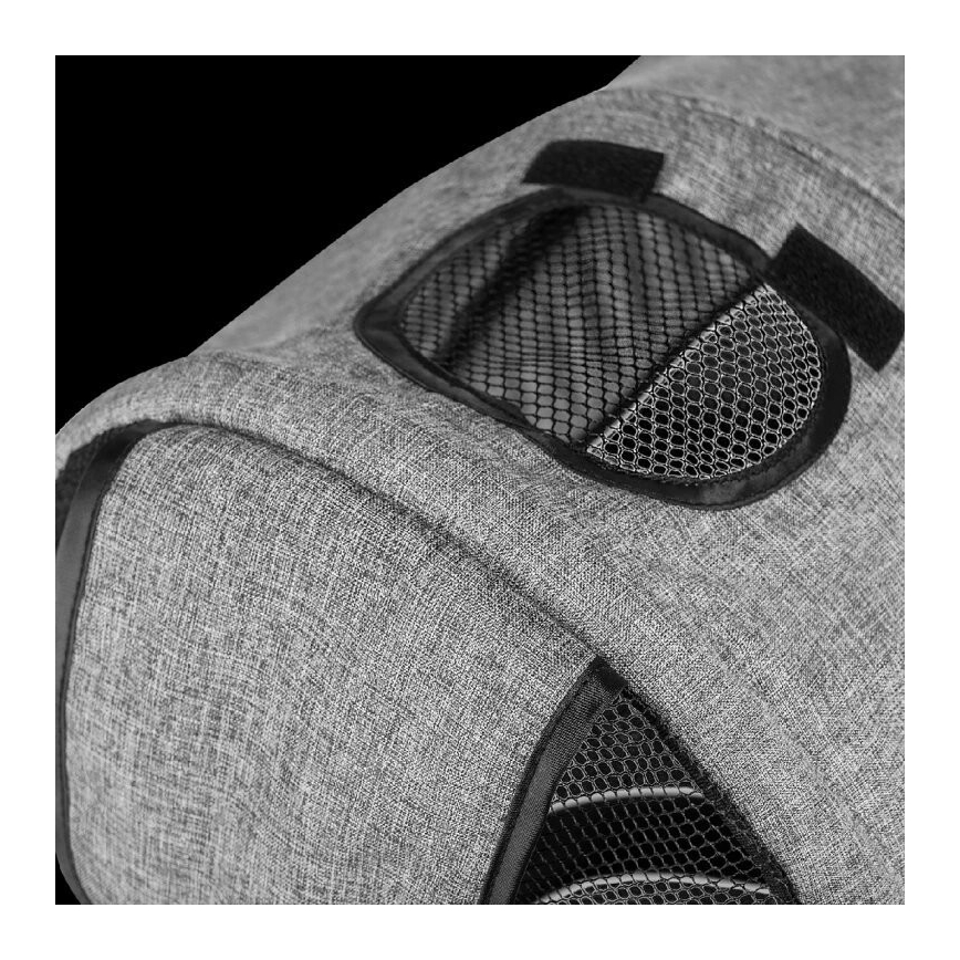 Lionelo - Tricycle pour enfants TRIS gris