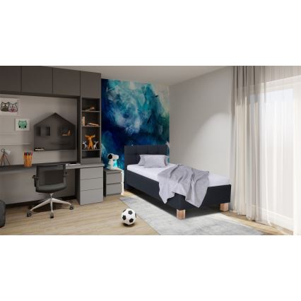 Lit tapissé avec coffre de rangement MARIA ONE 90x200 cm sans matelas, anthracite