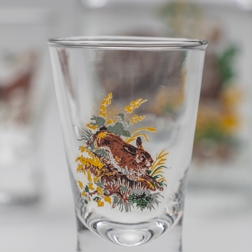 Lot 1x bouteille en verre et 2x verre à shot transparent avec un motif de sanglier