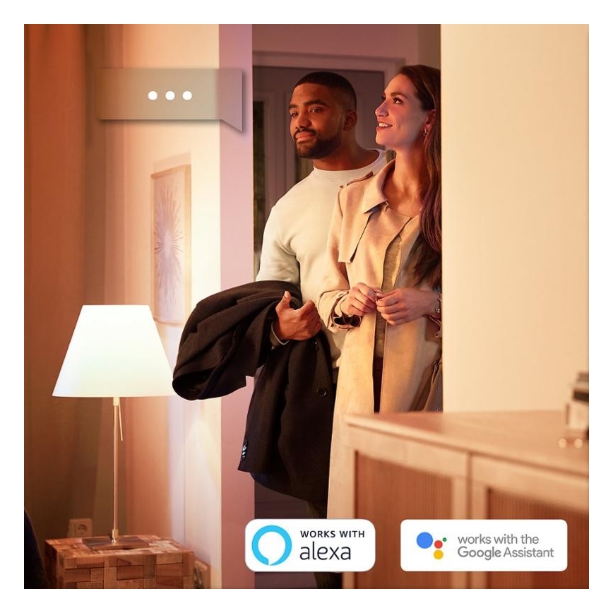 SET 2x Ampoule LED à intensité modulable Philips HUE WHITE E27/9W/230V