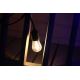 LOT 2x Ampoule LED PARTY E27/0,5W/36V