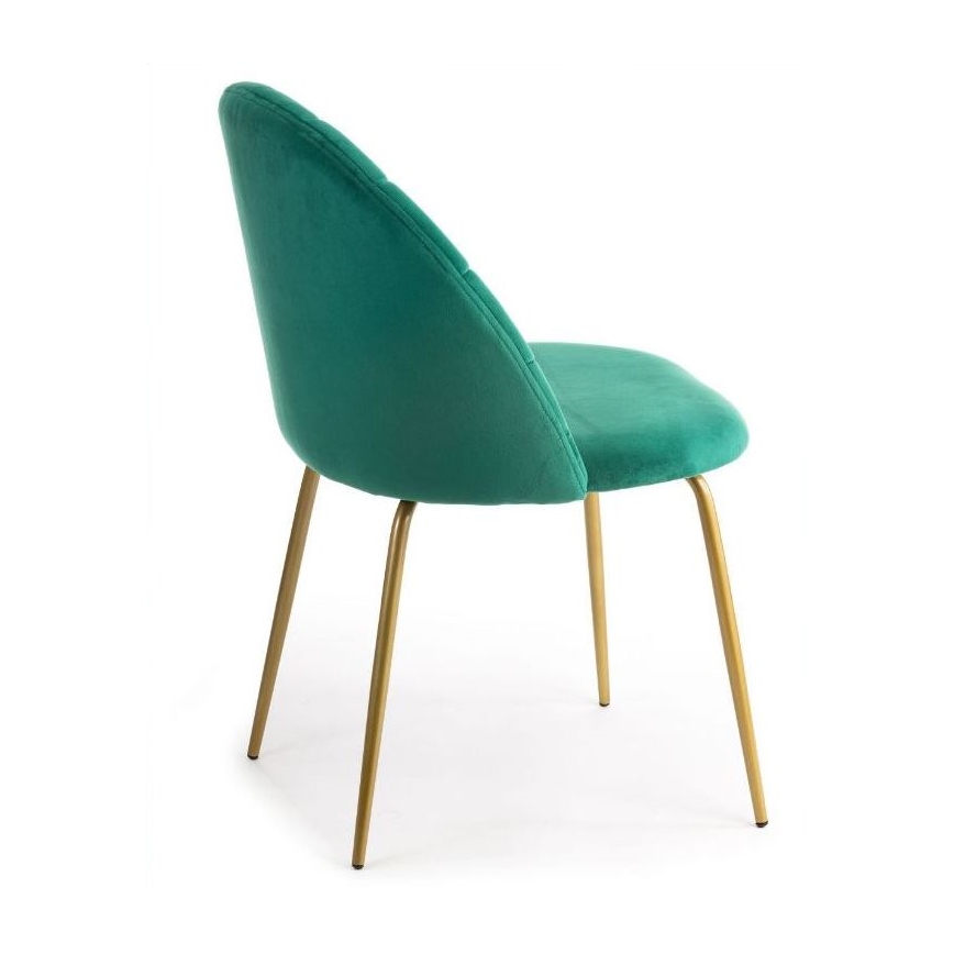 LOT 2x Chaises de salle à manger BELLA vertes