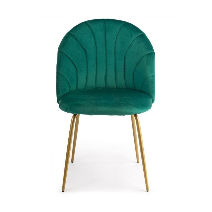 LOT 2x Chaises de salle à manger BELLA vertes