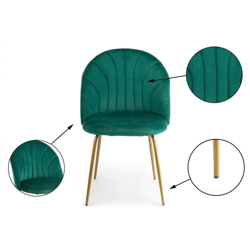 LOT 2x Chaises de salle à manger BELLA vertes