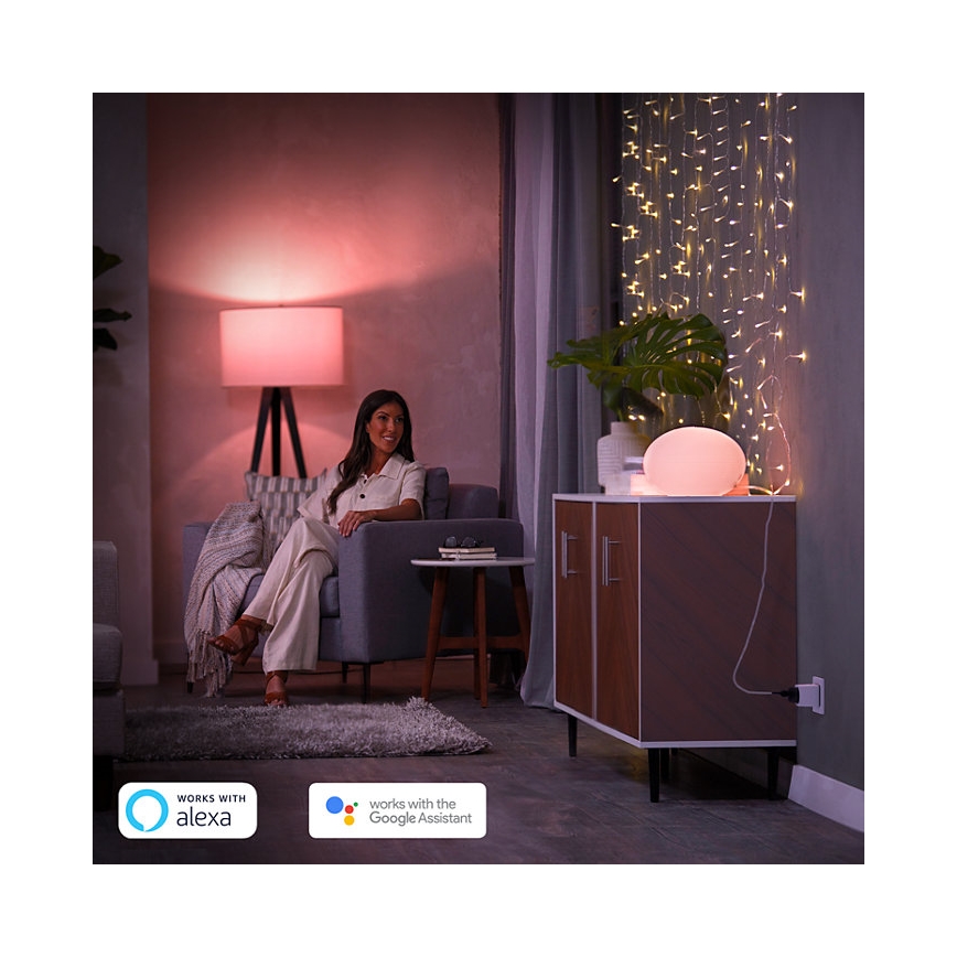 LOT 2x Prise connectée Philips Hue Connecté prise EU SCHUKO