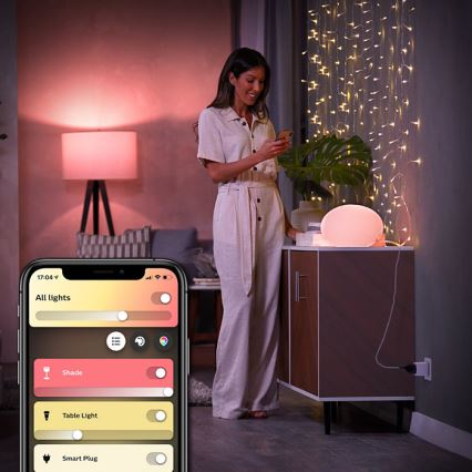 LOT 2x Prise connectée Philips Hue Connecté prise EU SCHUKO