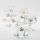 Lot 6x tasse en verre avec une soucoupe et 1x sucrier transparent bouquet no. 4