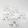 Lot 6x tasse en verre avec une soucoupe transparent bouquet n° 8