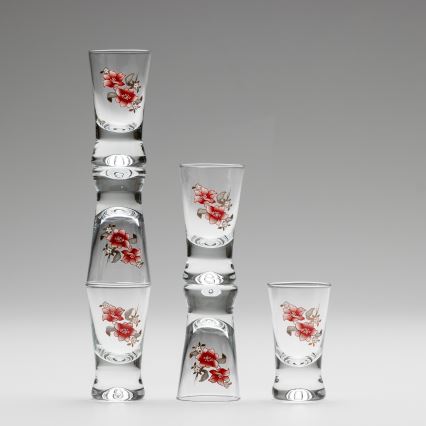 Lot 6x verre à shot transparent avec un motif de bouquet n° 2