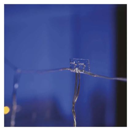 Lot de 10 supports doubles pour guirlandes de Noël