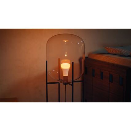 Lot de 2 ampoules LED dimmables Philips Hue White and Color Ambiance E27/8,1W/230V 1000-20000K