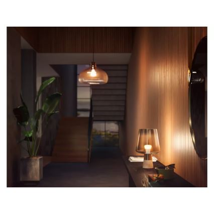 Lot de 2 ampoules LED dimmables Philips Hue WHITE E27/9,5W/230V 2700K