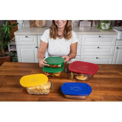 Lot de 2 boîtes alimentaires en verre PYREX 1,2 et 2,5 l