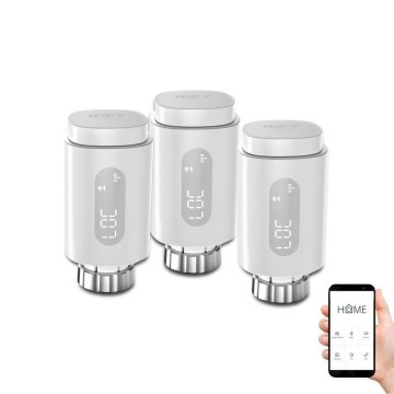 LOT x3 Tête thermostatique connectée avec LED écran 2xAA/3V Zigbee