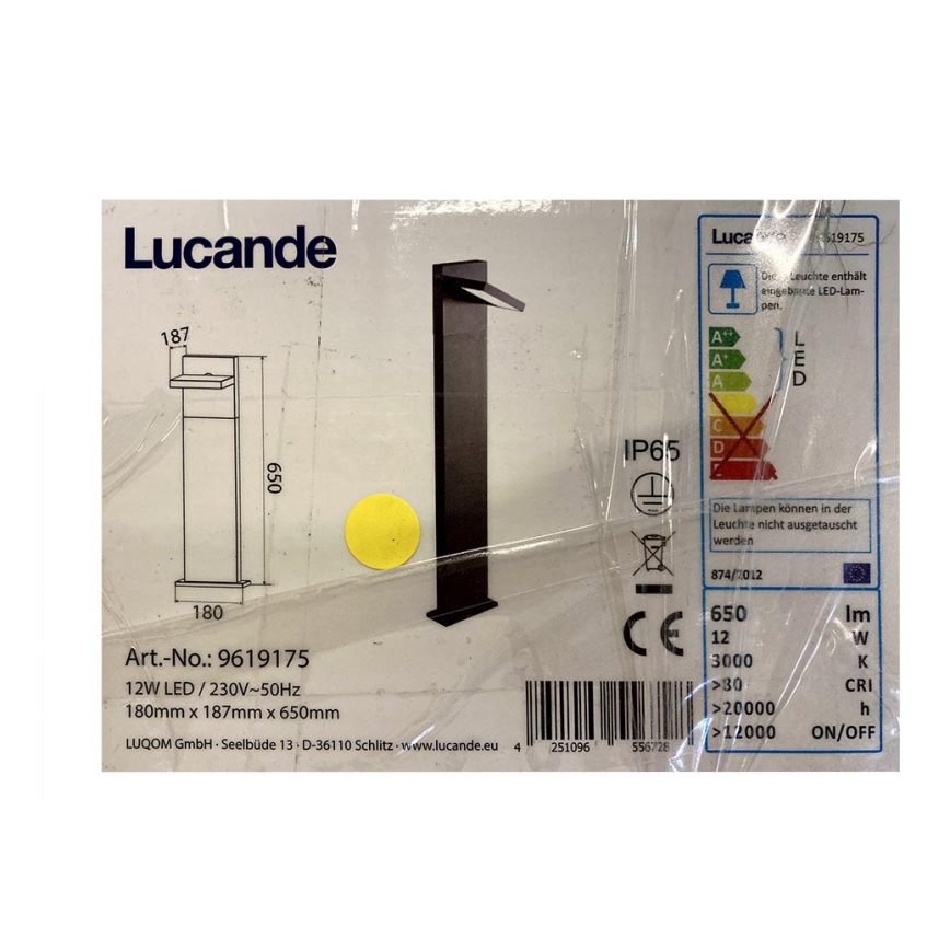 Lucande - Lampe extérieure SILVAN LED/12W/230V IP65