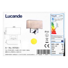 Lucande - Lampe murale LED VIRVE 1XLED/13,4W/230V + 1xLED/3,4W/230V