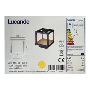 Lucande - LED Buitenlamp LEALAND LED/10,8W/230V IP54
