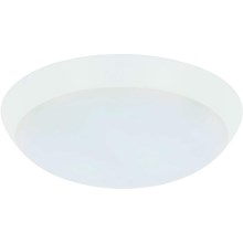 Lucci air 211013 - LED Lamp voor ventilator AIRFUSION TYPE A LED/15W/230V