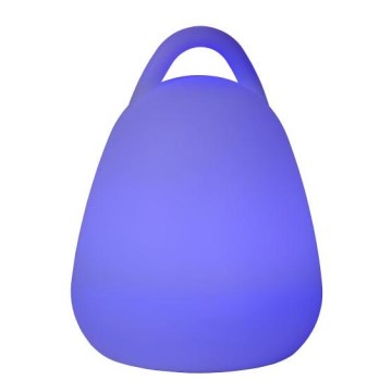 Lucide 13807/24/61 - LED Tafellamp dimbaar voor buiten TOBY-LED 1xLED/1W IP54