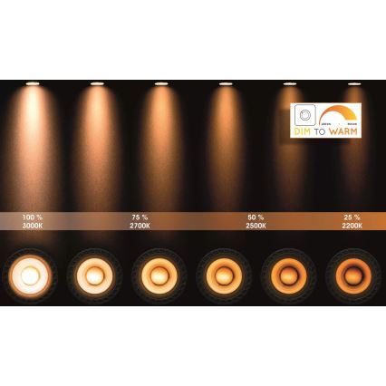 Lucide 23954/21/31 - Spot à intensité variable LED XYRUS 4xGU10/5W/230V